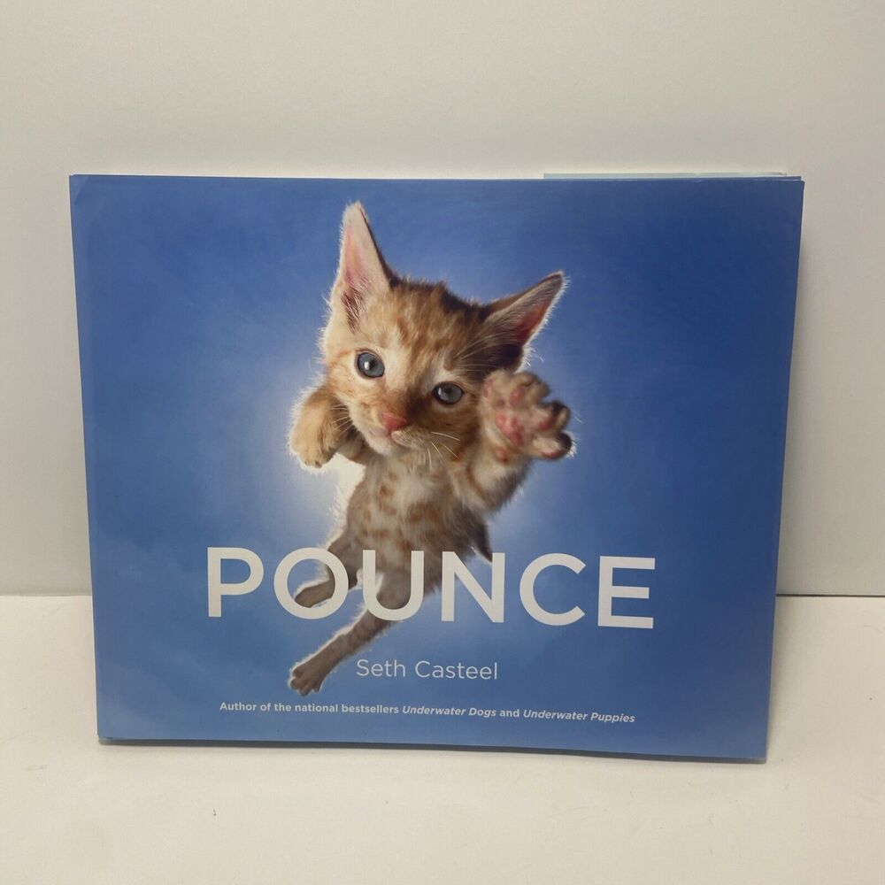 Pounce by Seth Casteel Hardcover cats photo portraits 70 previously unpublished